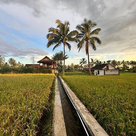 Rice Field Inn - Lombok Tetebatu Kültér fotó