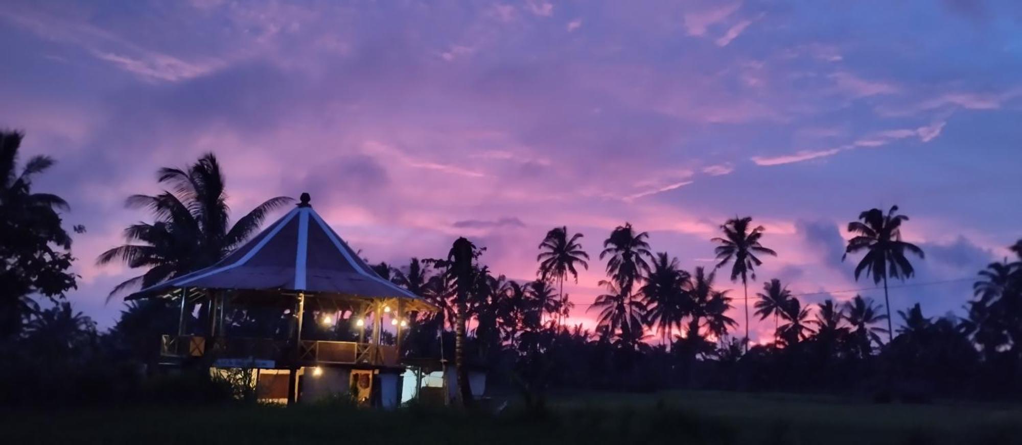 Rice Field Inn - Lombok Tetebatu Kültér fotó