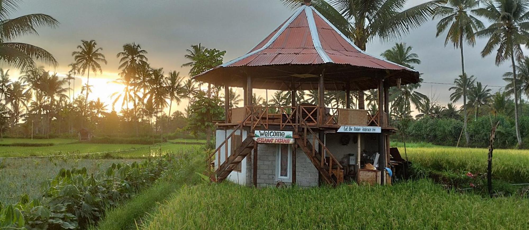 Rice Field Inn - Lombok Tetebatu Kültér fotó