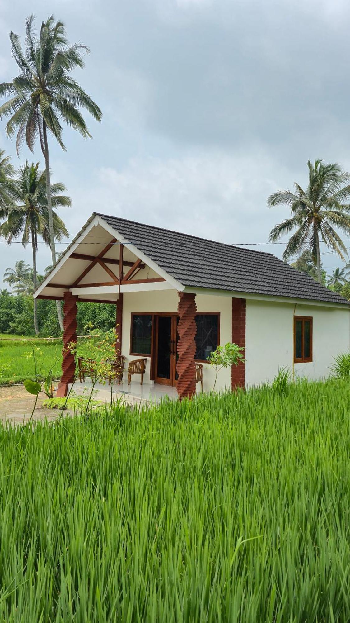 Rice Field Inn - Lombok Tetebatu Kültér fotó