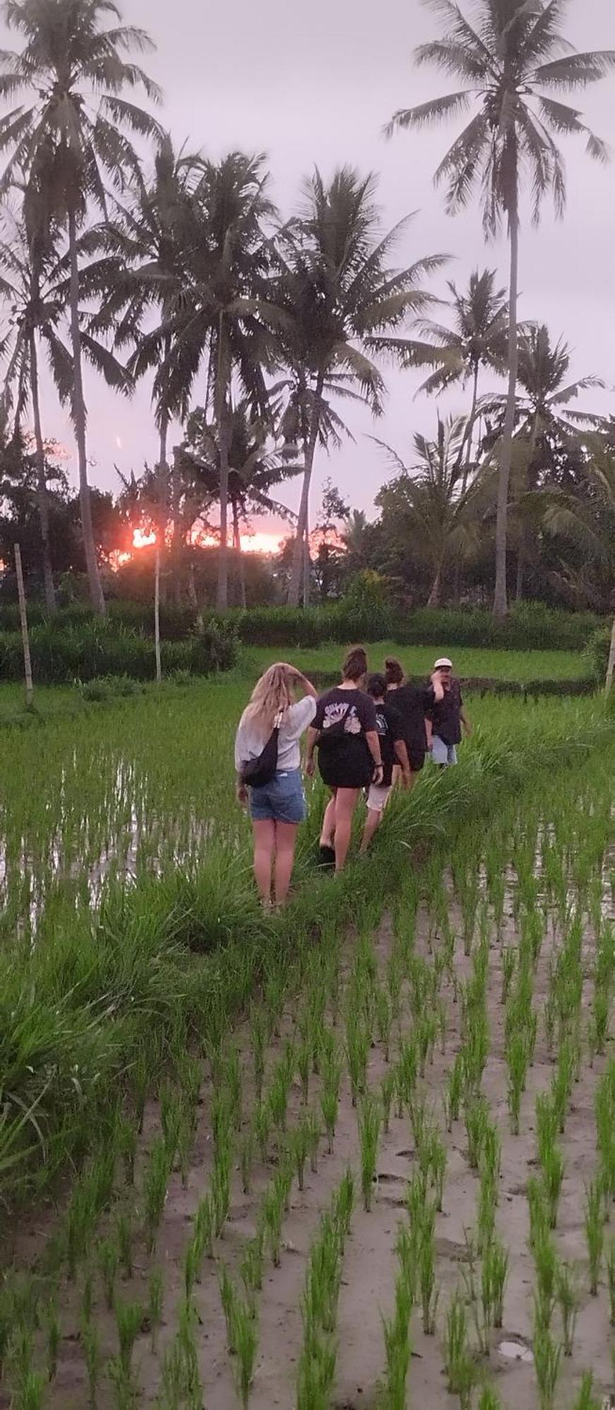 Rice Field Inn - Lombok Tetebatu Kültér fotó