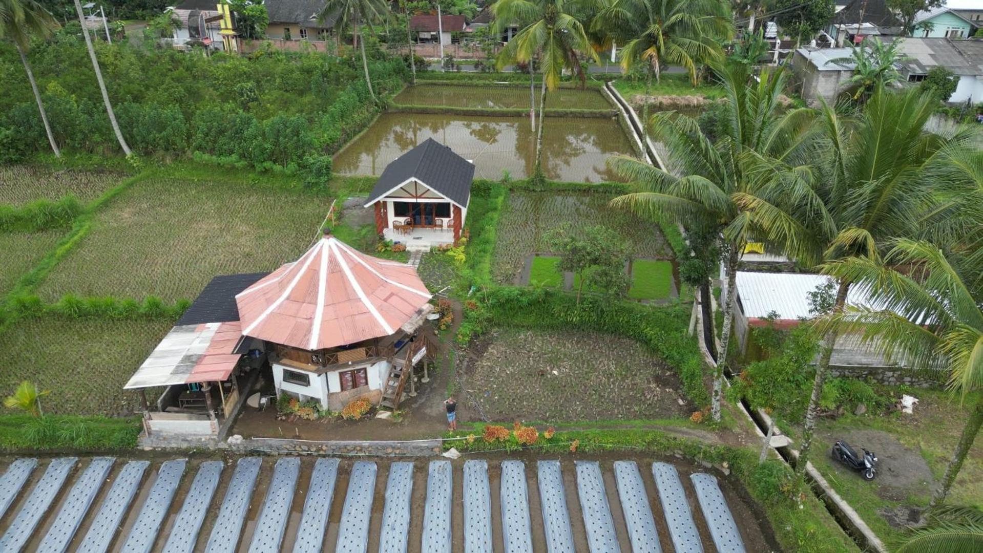 Rice Field Inn - Lombok Tetebatu Kültér fotó