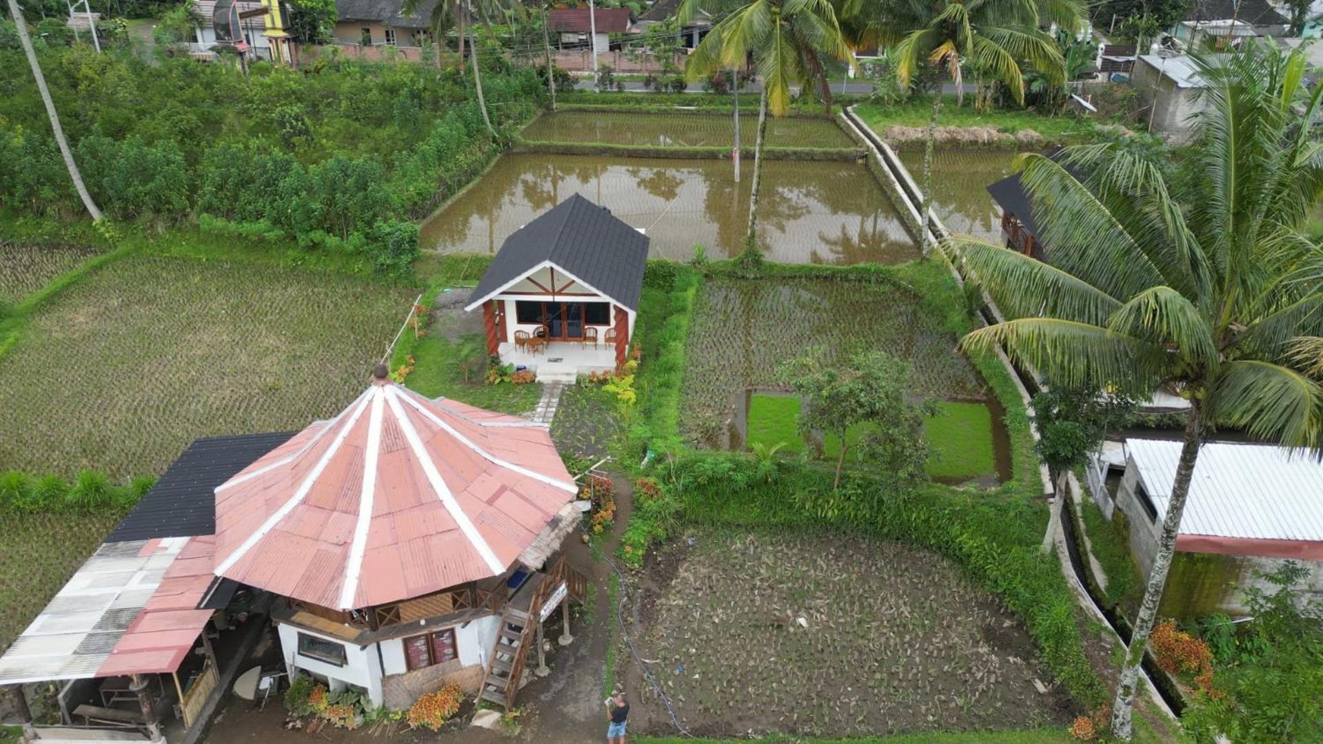 Rice Field Inn - Lombok Tetebatu Kültér fotó