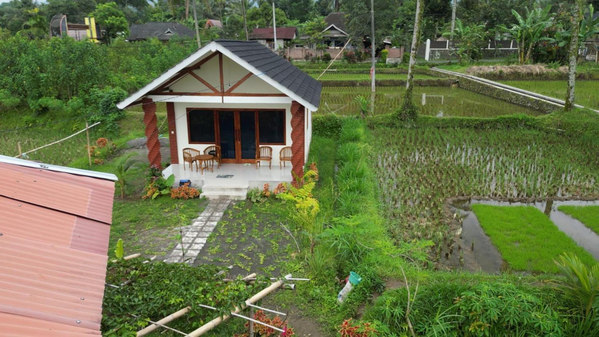 Rice Field Inn - Lombok Tetebatu Kültér fotó