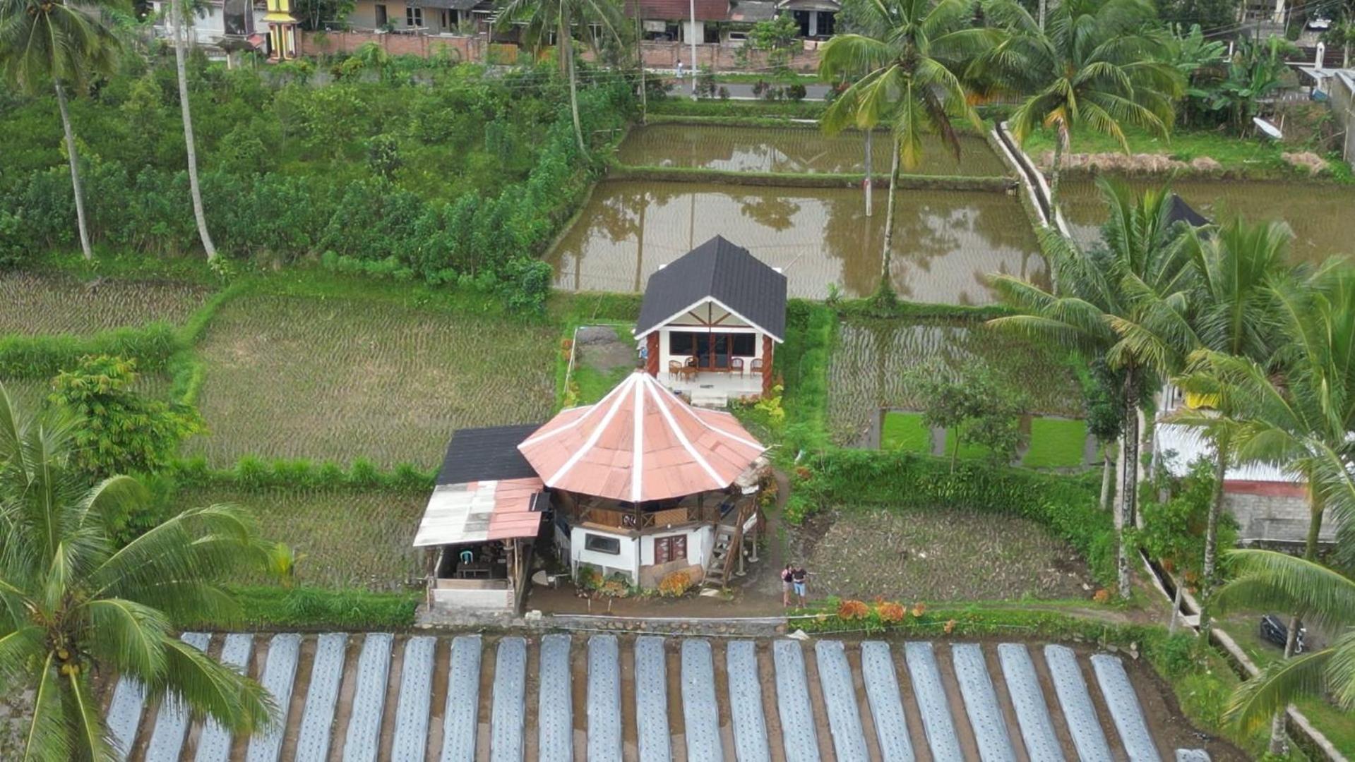 Rice Field Inn - Lombok Tetebatu Kültér fotó