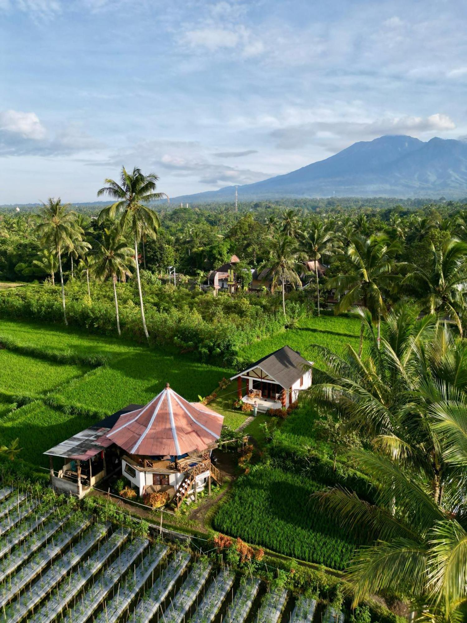 Rice Field Inn - Lombok Tetebatu Kültér fotó