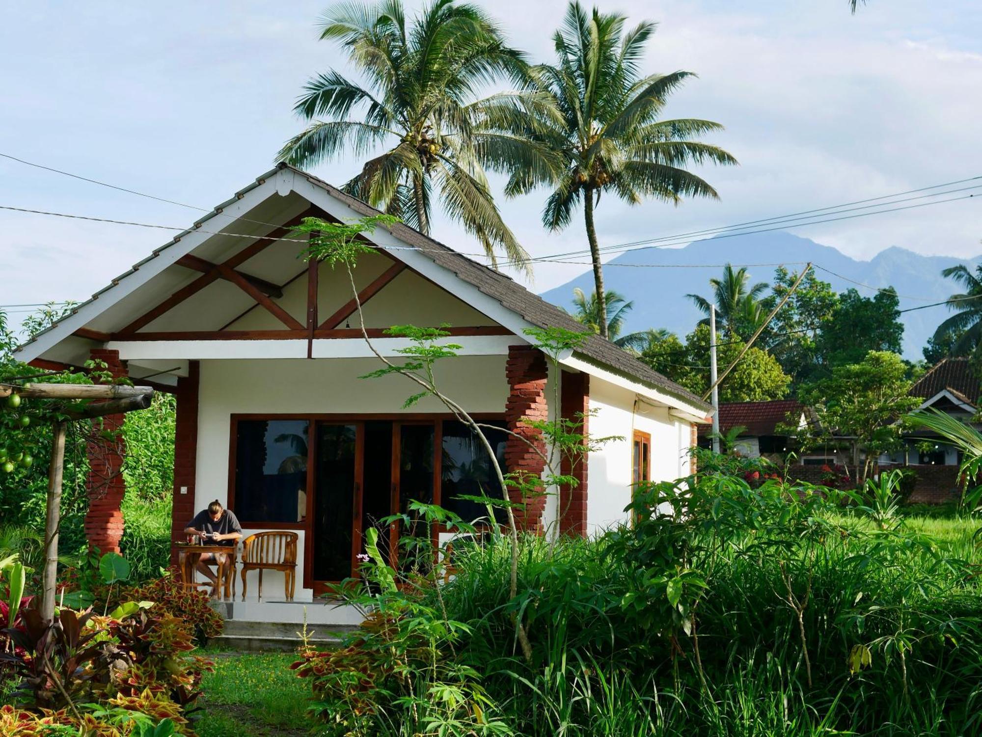Rice Field Inn - Lombok Tetebatu Kültér fotó