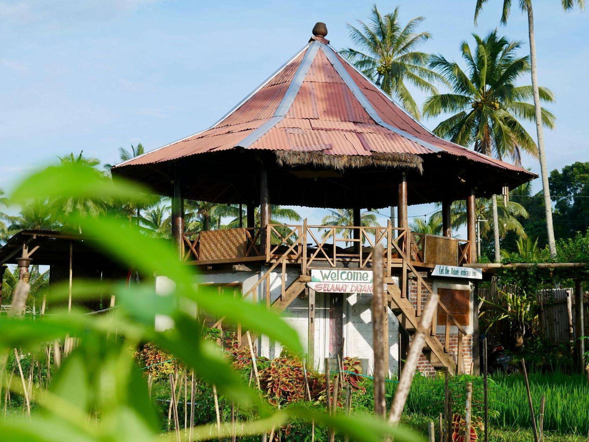 Rice Field Inn - Lombok Tetebatu Kültér fotó