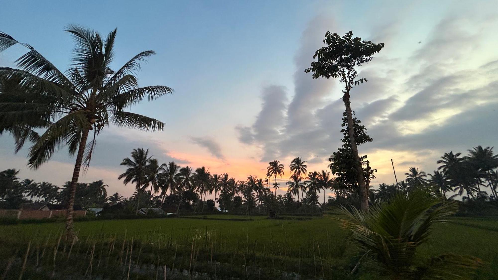 Rice Field Inn - Lombok Tetebatu Kültér fotó